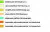 Teritorijas_perspektiva_izmantosana__2012