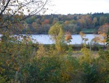 DSC_0230 DSC_0230