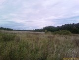 IMAGE_00027 IMAGE_00027