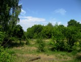 IMG_4348 IMG_4348