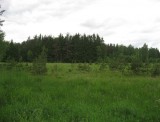 IMG_4551 IMG_4551