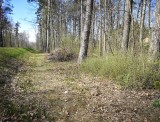 IMG_20200417_154126 IMG_20200417_154126